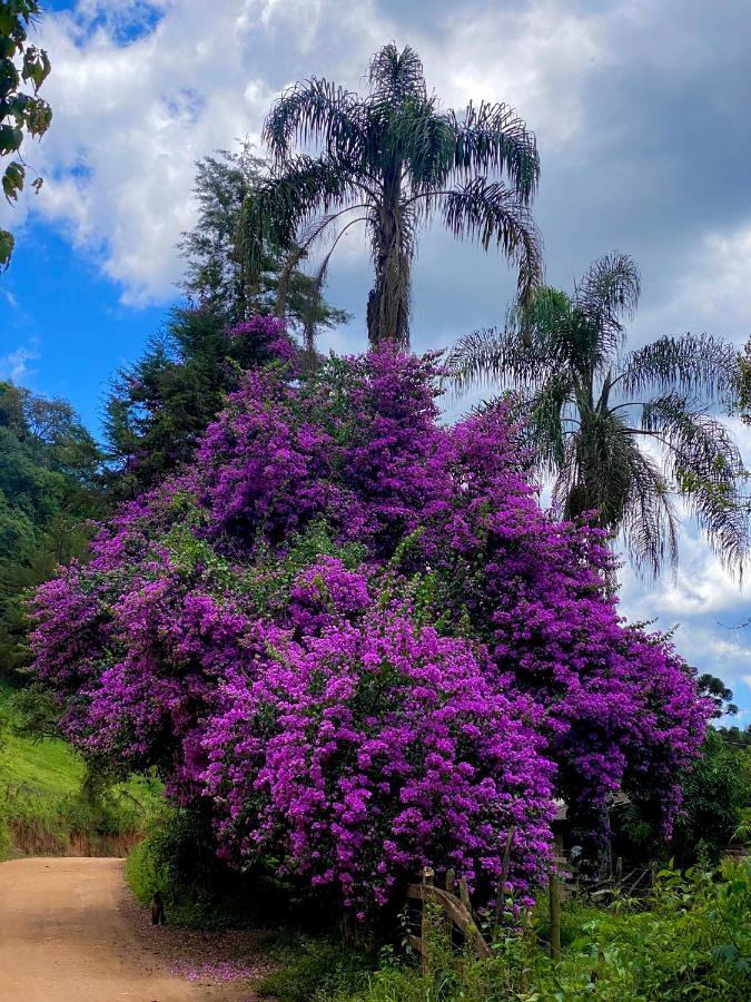 Canto Das Aguas Alagoa エクステリア 写真